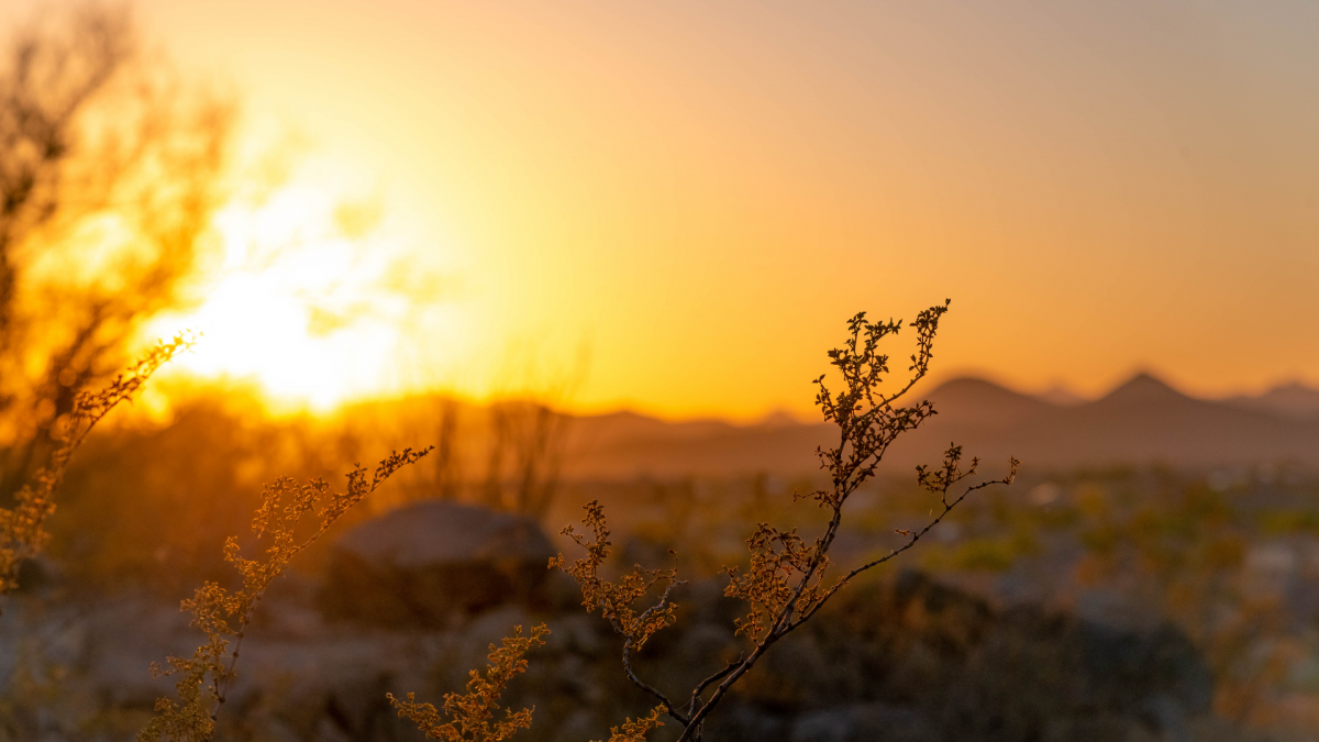 The sun setting over a rocky plain