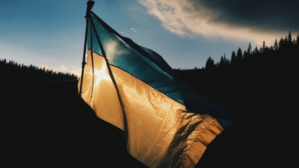 Ukrainian flag in a forest