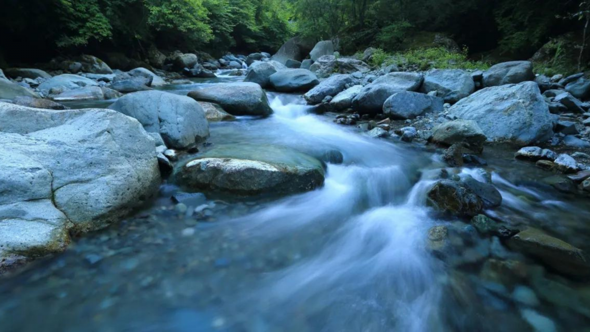 A rushing river in a wooded area