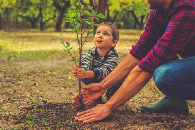 adult and small child planting a sapling