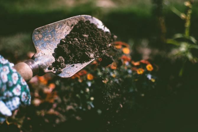 hand holding trowel full of soil