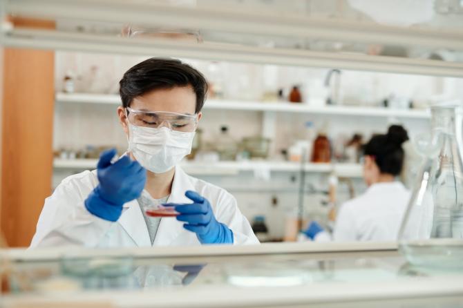 person in surgical mask and gloves pipetting fluid onto a culture dish in a laboratory