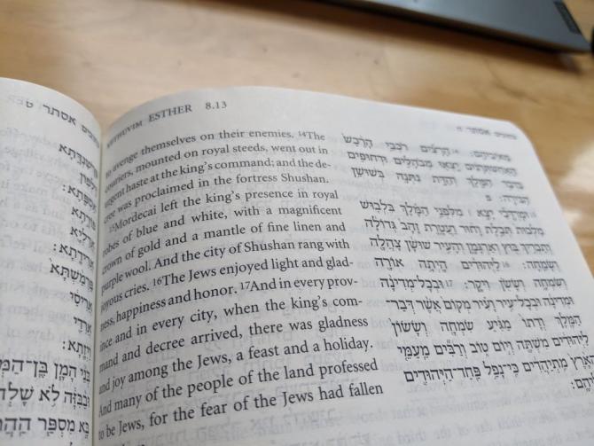English and Hebrew text of chapter 8 of the Book of Esther