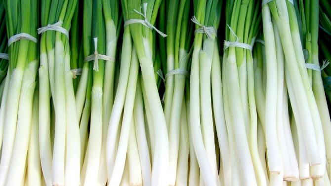 bunches of scallions