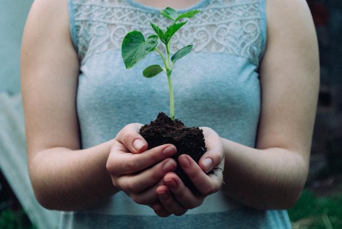 woman with hands cupping a ball of soil out of which a plant is growing