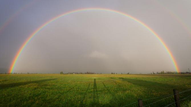 rainbow over a field