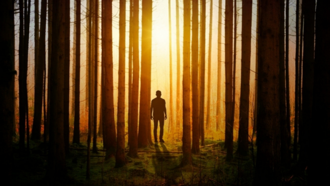 Person in the woods at sunset