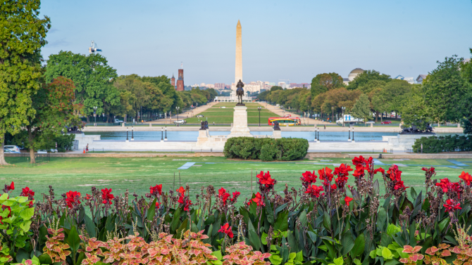 The Washington Monument and reflecting pool from a distance with red flowers in the foreground
