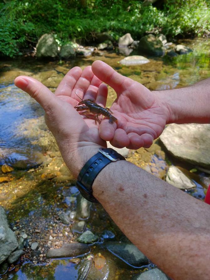 Zaidie caught a crayfish.