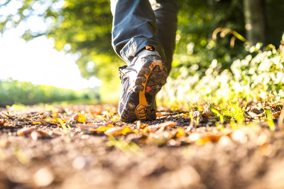 Hiking