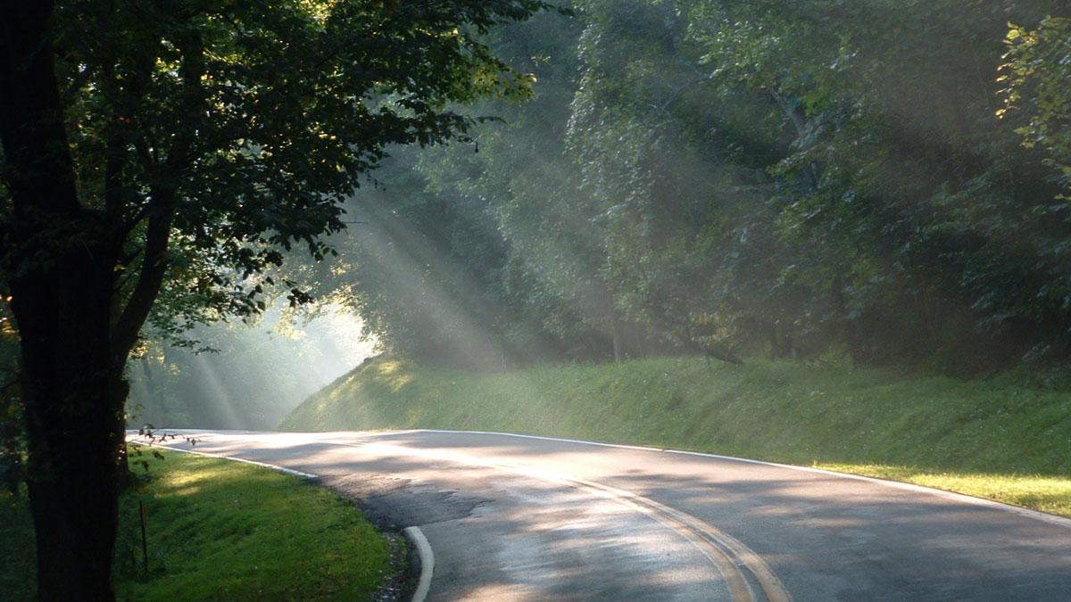 road through trees with rays of sun