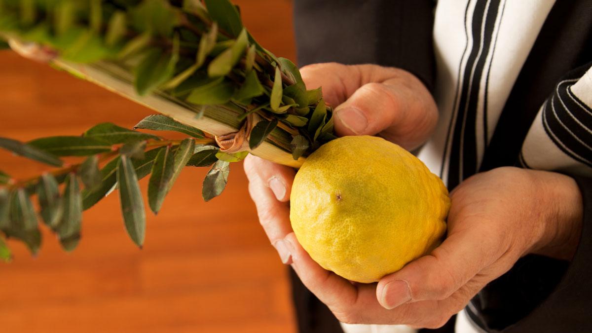 hands with lulav and etrog for sukkot