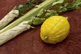 Lulav and Etrog