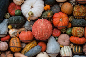 variety of colorful gourds