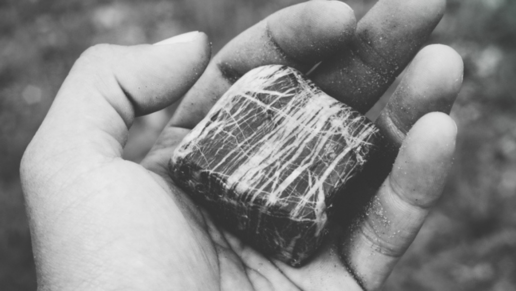 black and white photo of a hand holding a striped rock