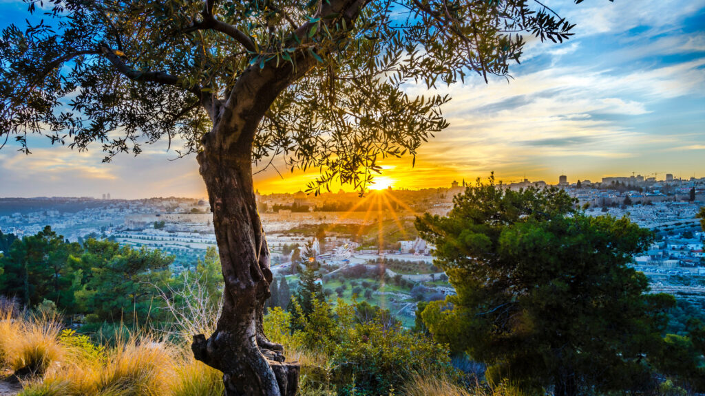 Sunset over a valley