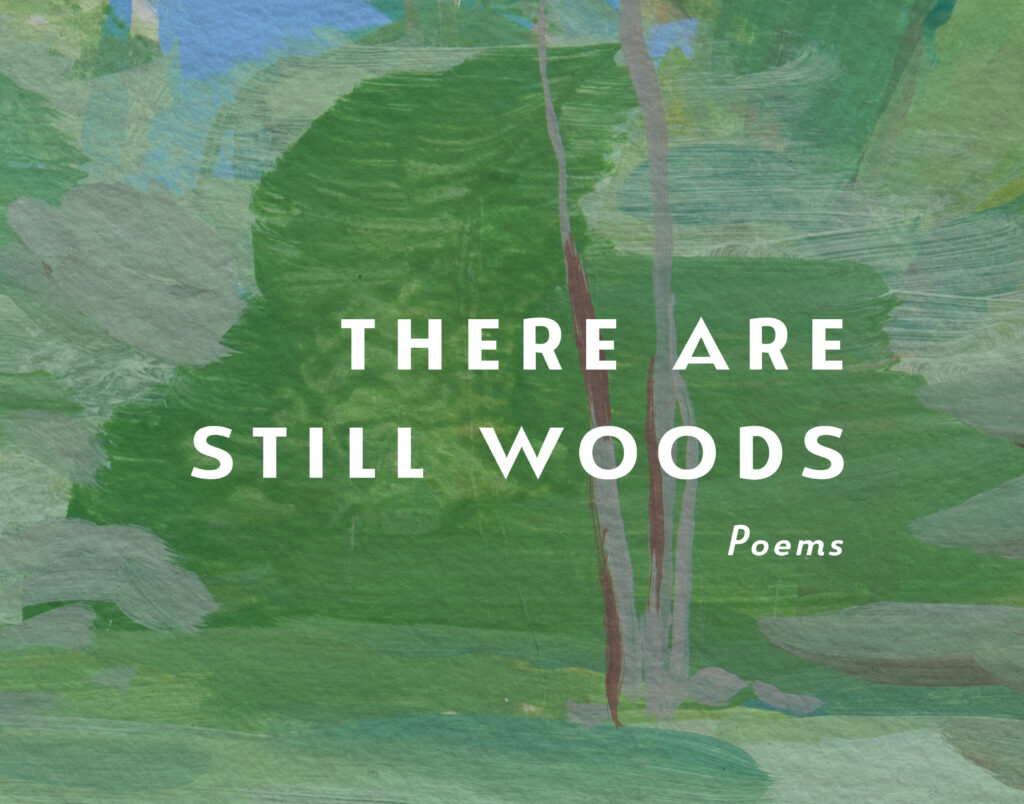 cover of there are still woods by hila ratzabi