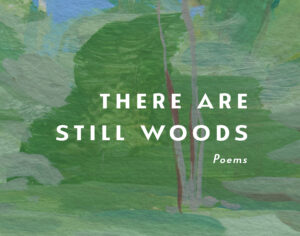 cover of there are still woods by hila ratzabi
