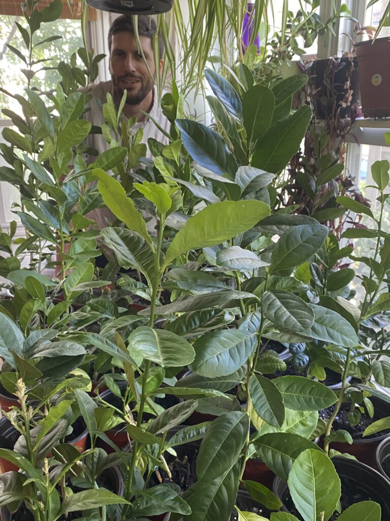 Rabbi Micah Weiss in a greenhouse, surrounded by plants.