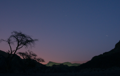 Silhouetted trees against a twilight sky with a hint of light over distant hills.