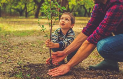 A child and an adult plant a small tree together in a sunny park.