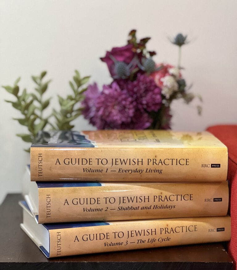 The Guide to Jewish Practice, set of 3