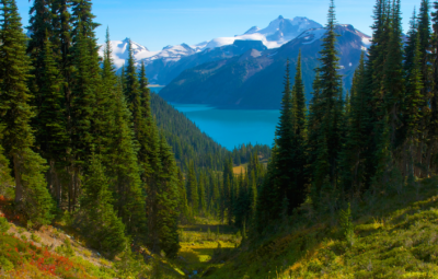 Mountains and Lake behind evergreen trees