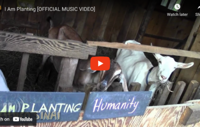 Two goats in a wooden pen with signs reading I am Planting Sinai and Humanity in a music video screenshot.