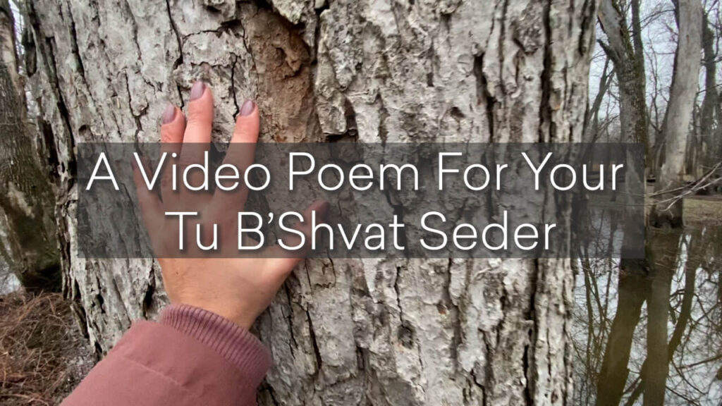 A person touching tree bark with the video name text over top