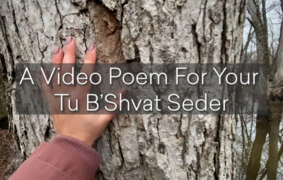 A person touching tree bark with the video name text over top