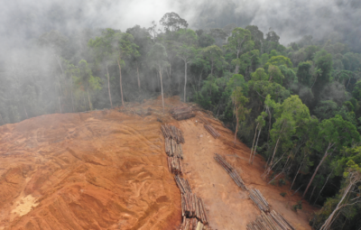 Aerial view of deforestation showing cleared land and stacked logs beside dense forest shrouded in mist.