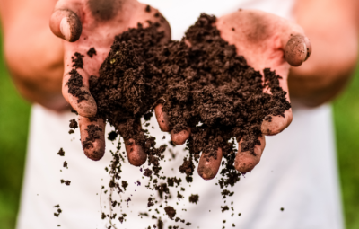 soil falling out of someone's hands
