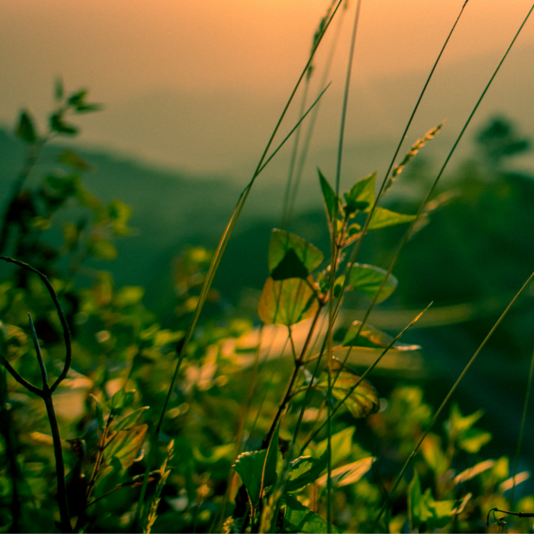 Choosing Life: The Spiritual Challenge of Climate Crisis and Environmental Racism