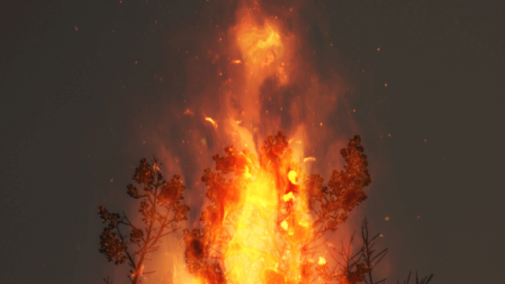 A photo collage illustration of a burning bush