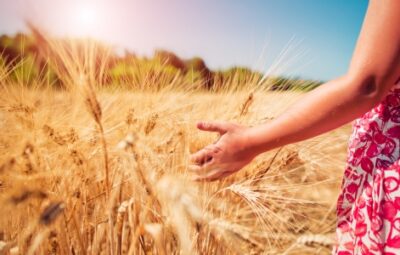 A person in a floral dress gently touches golden wheat in a sunlit field.