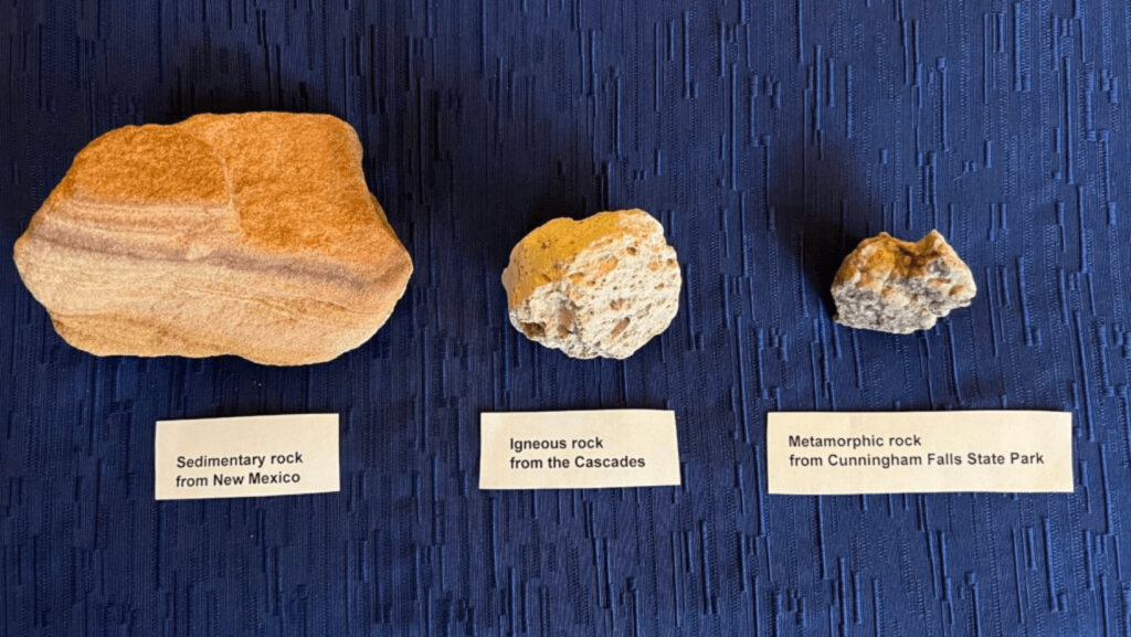 Overhead view of different rock samples on a blue background: sedimentary, igneous, and metamorphic rocks