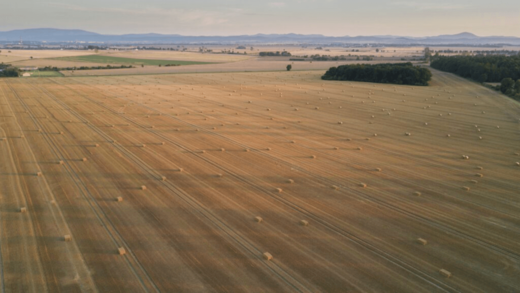 Aerial view of a farm field