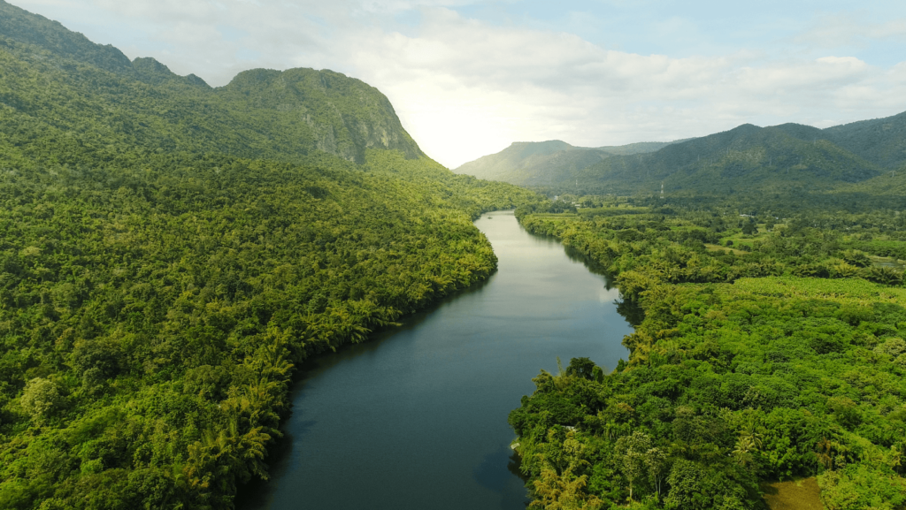 Aerial of a landscape with a river cutting through a forest with green trees