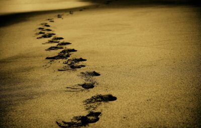 Curved line of footprints in wet sand on a beach at sunset.