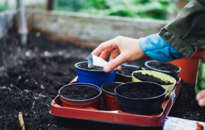 A person plants seeds in small pots on a tray in a garden bed.