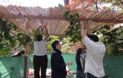 People adjusting a wooden pergola, surrounded by greenery and sunlight.