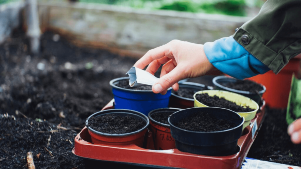 Close-up of someone planting seeds in a small planter with soil in it
