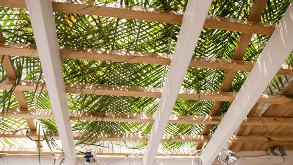 View of a sukkah roof from inside the sukkah