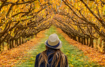 Person in a blue coat and hat walking through a tunnel of autumn trees with golden leaves.