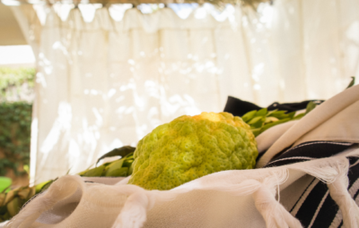Etrog and cloth in a sunlit sukkah, surrounded by a softly focused background.