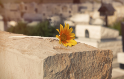 A single yellow flower rests on a stone wall in a cemetery, with blurred tombstones in the background.