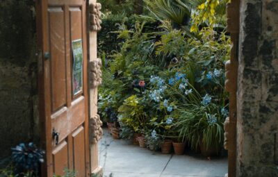 Open wooden door leading to a lush garden with various potted plants and flowers.