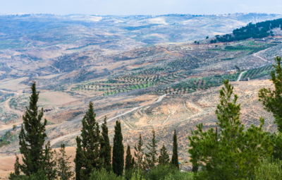 Aerial view of a hilly landscape with scattered trees, winding paths, and green patches under a blue sky.