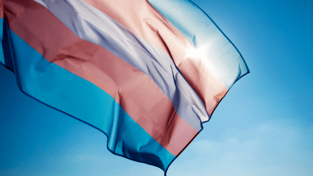 transgender flag