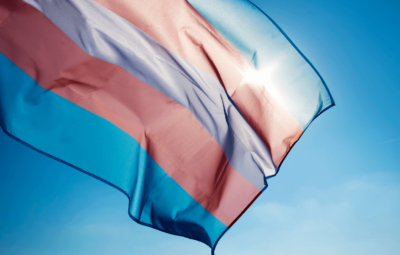 transgender flag